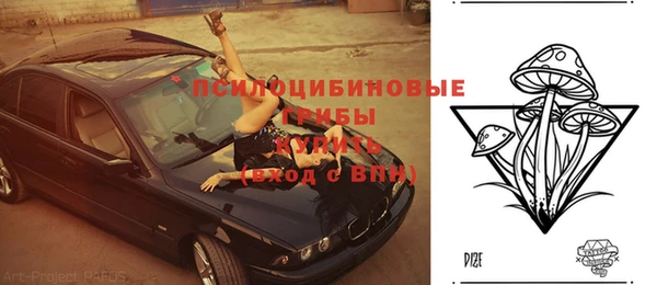 не бодяженный Алзамай