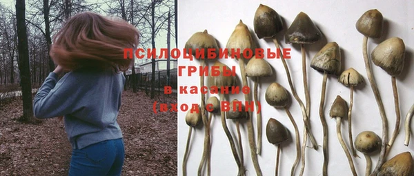 соль ск Абинск